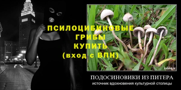 spice Надым