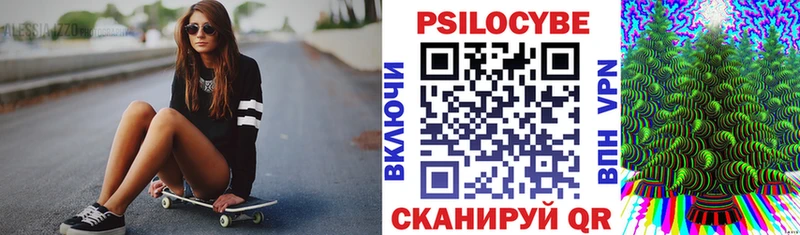 дарнет шоп  Цивильск  Псилоцибиновые грибы Psilocybe 